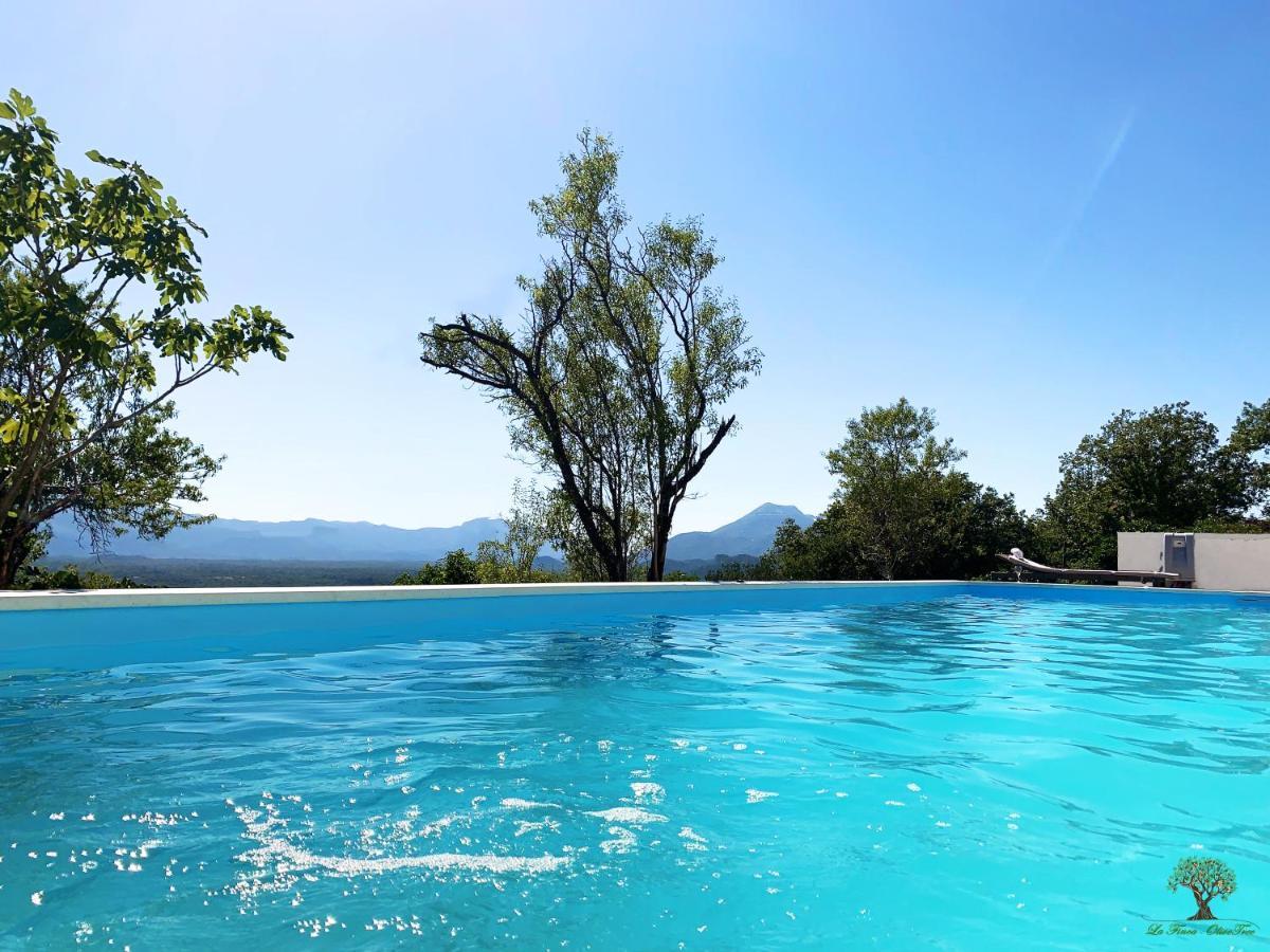 La Finca Olivetree Katuni 外观 照片