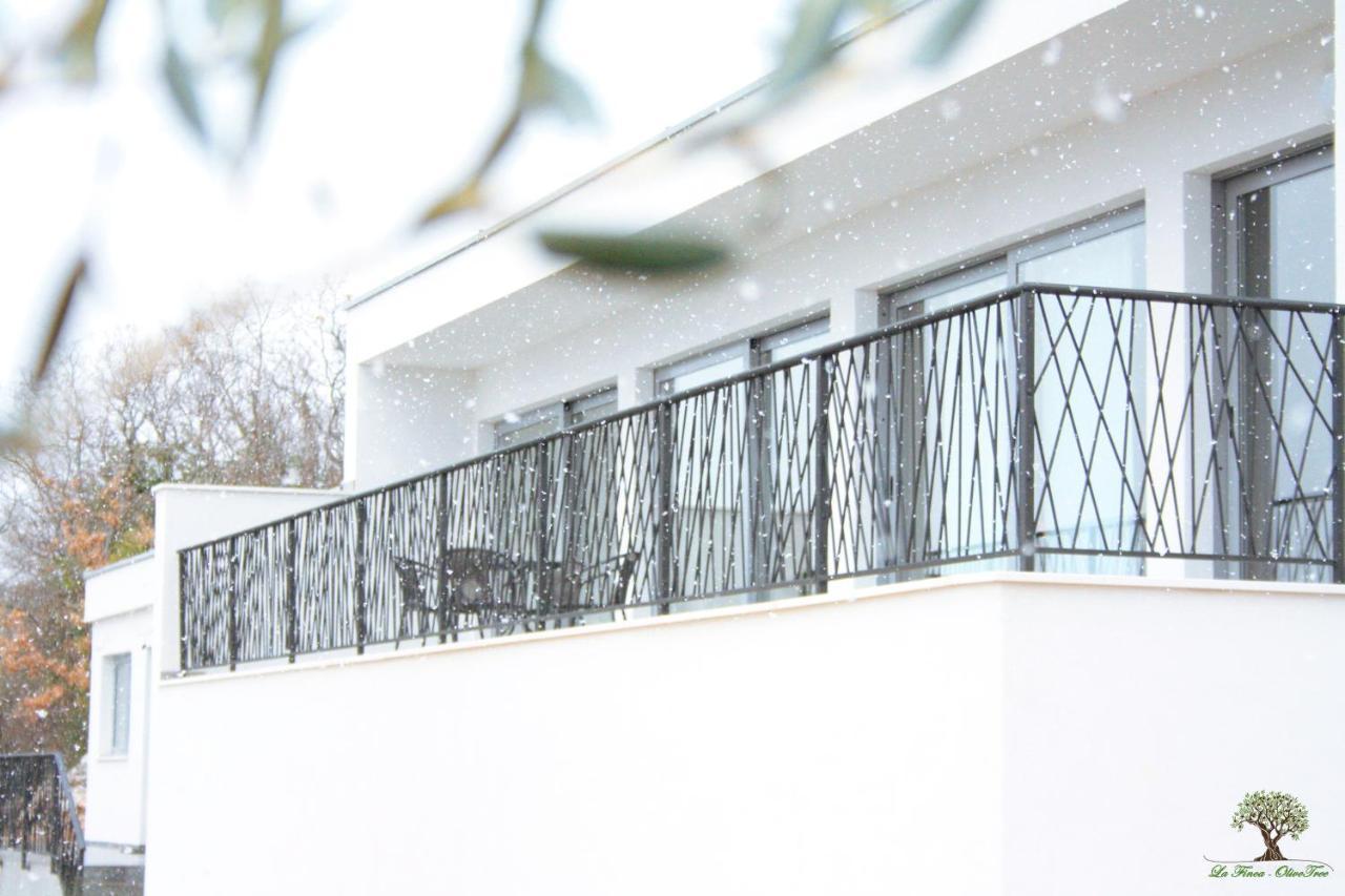 La Finca Olivetree Katuni 外观 照片