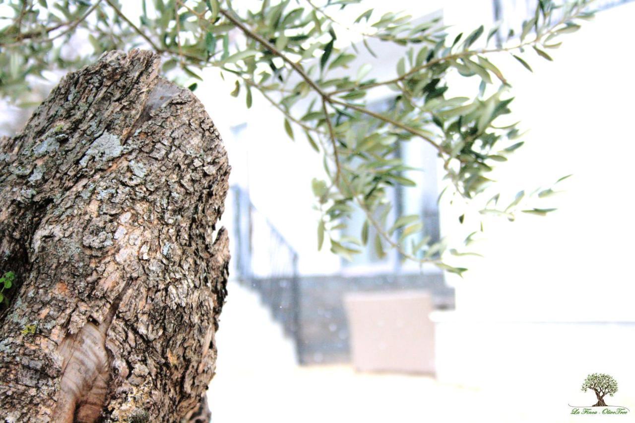 La Finca Olivetree Katuni 外观 照片